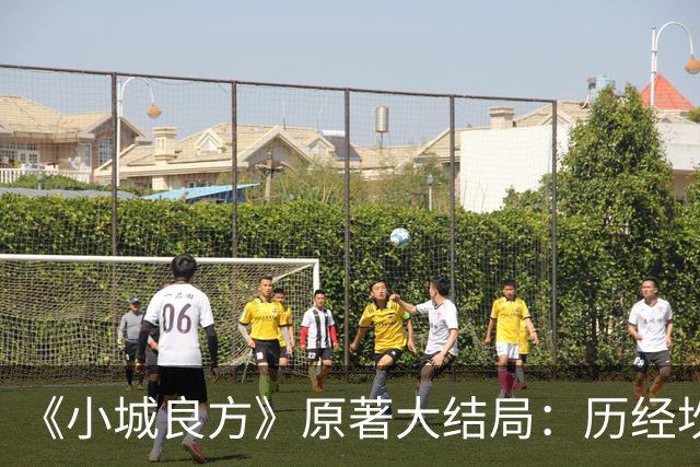 《小城良方》原著大结局：历经坎坷，刘铮亮艾辰终成眷属