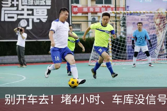 别开车去！堵4小时、车库没信号，芳村路网这次真被挤懵了