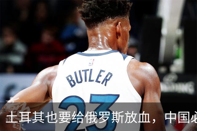 土耳其也要给俄罗斯放血，中国必须吸取教训，台海一战绝不能久拖