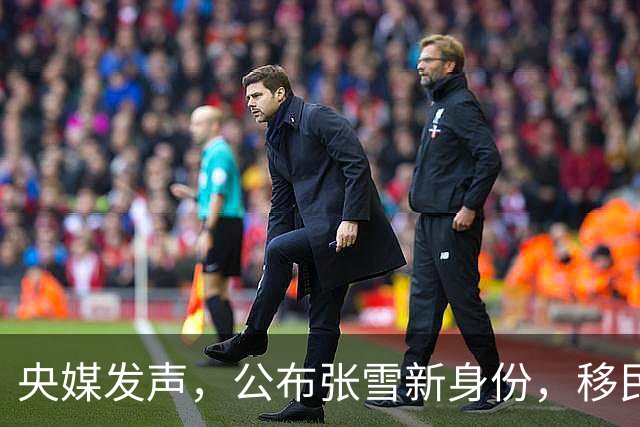 央媒发声，公布张雪新身份，移民跑路、资产转移海外传言早有答案