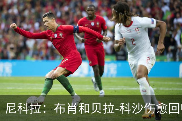 尼科拉：布肖和贝拉-科沙伤愈回归；我们本该赢下热那亚