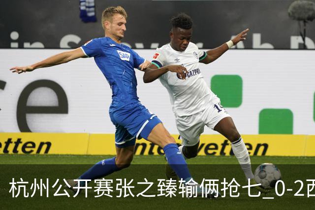杭州公开赛张之臻输俩抢七 0-2西里奇收获亚军