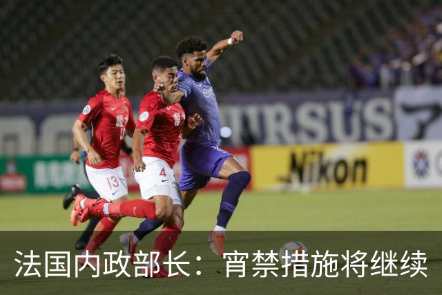 法国内政部长：宵禁措施将继续