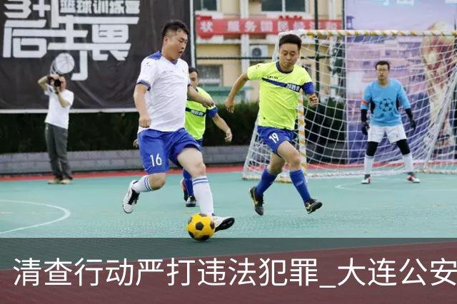 清查行动严打违法犯罪 大连公安公布5起典型案例