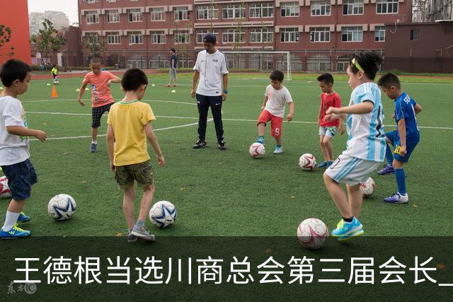 王德根当选川商总会第三届会长 刘永好当选名誉会长