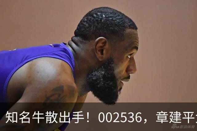 知名牛散出手！002536，章建平大举买入