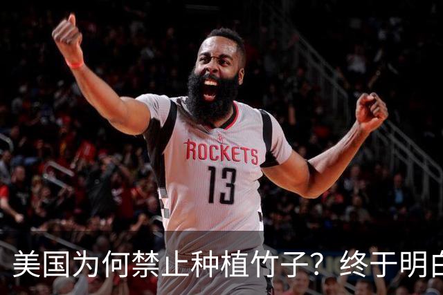 美国为何禁止种植竹子？终于明白，原来竹子比我们想象的更可怕