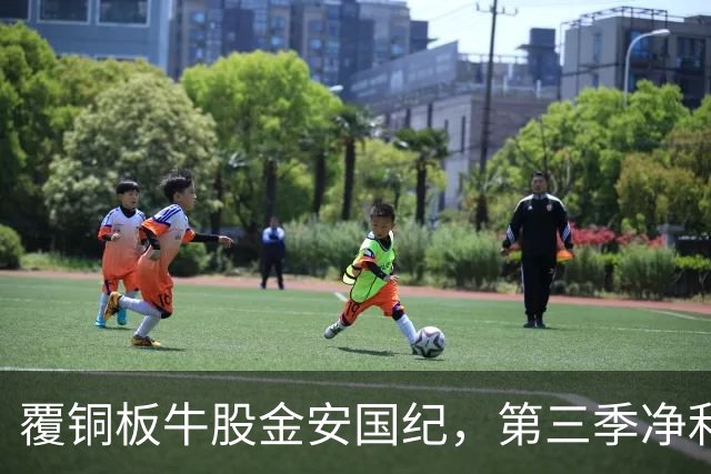 覆铜板牛股金安国纪，第三季净利暴增超1000%！